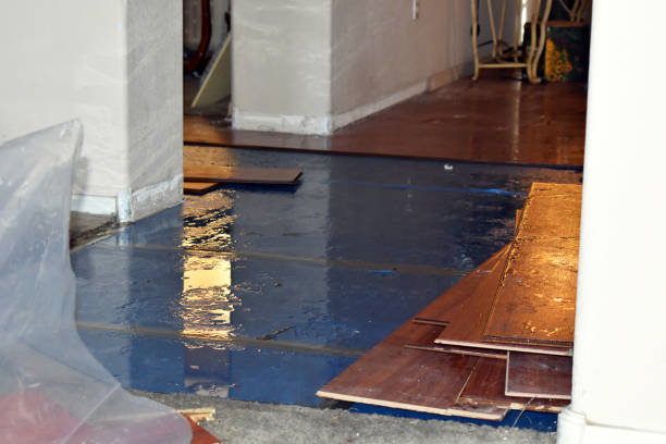 Professional Basement Flood Cleanup technician working in Richeyville, PA